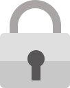 100% secure payment